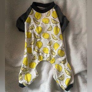 Size Medium Dog Onesie